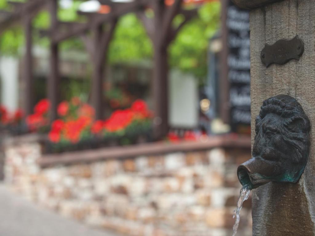 Hotel Felsenkeller Rüdesheim am Rhein Esterno foto