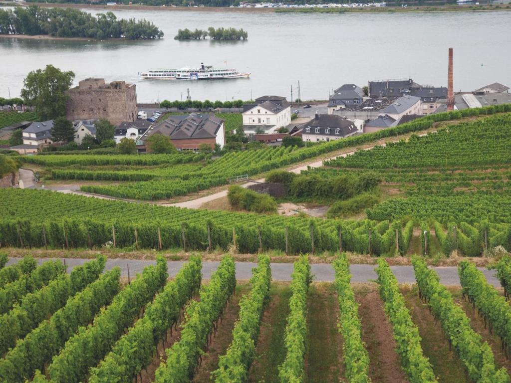 Hotel Felsenkeller Rüdesheim am Rhein Esterno foto