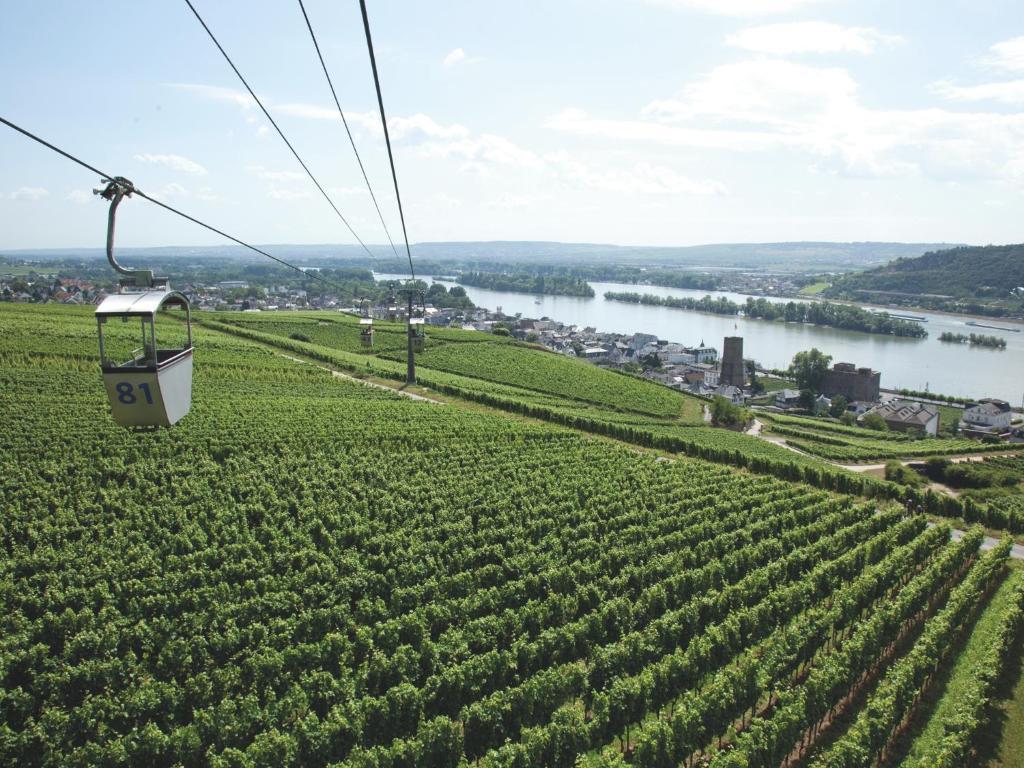 Hotel Felsenkeller Rüdesheim am Rhein Esterno foto