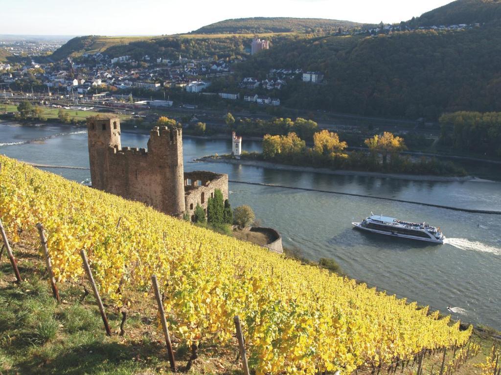 Hotel Felsenkeller Rüdesheim am Rhein Esterno foto